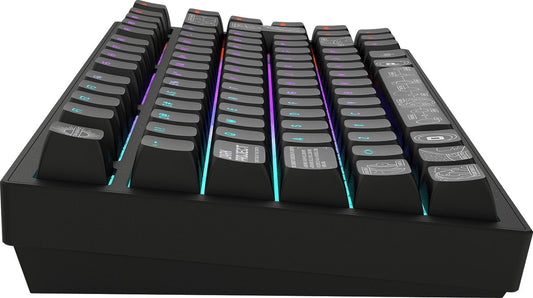 Dark Project - ALU Terra Nova - Clavier Gaming Mécanique Sans Fil ISO (DE) - Noir