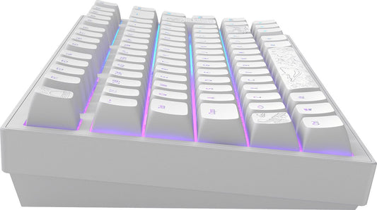 Dark Project ALU Terra Nostra – Clavier gaming mécanique ISO (DE) – Blanc