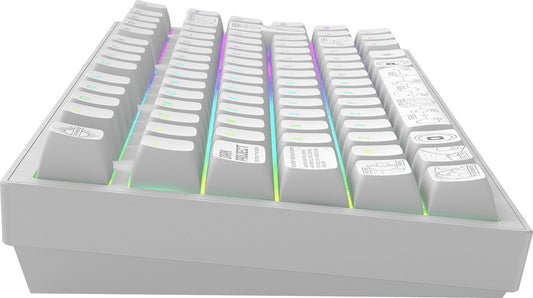 Dark Project - ALU Terra Nova - Clavier Gaming Mécanique Sans Fil ISO (DE) - Blanc