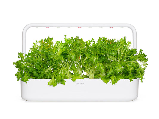 Click & Grow Laitue feuille de chêne / 3-pack – Capsules de salade pour jardin d’intérieur intelligent