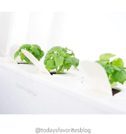 Click & Grow Recharge Basilic – 3 Capsules pour Jardin Intelligent