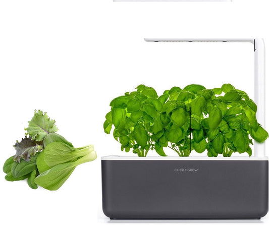 Click & Grow Smart Garden 3 Gris Foncé + Recharge Cuisine Asiatique (9 Capsules)
