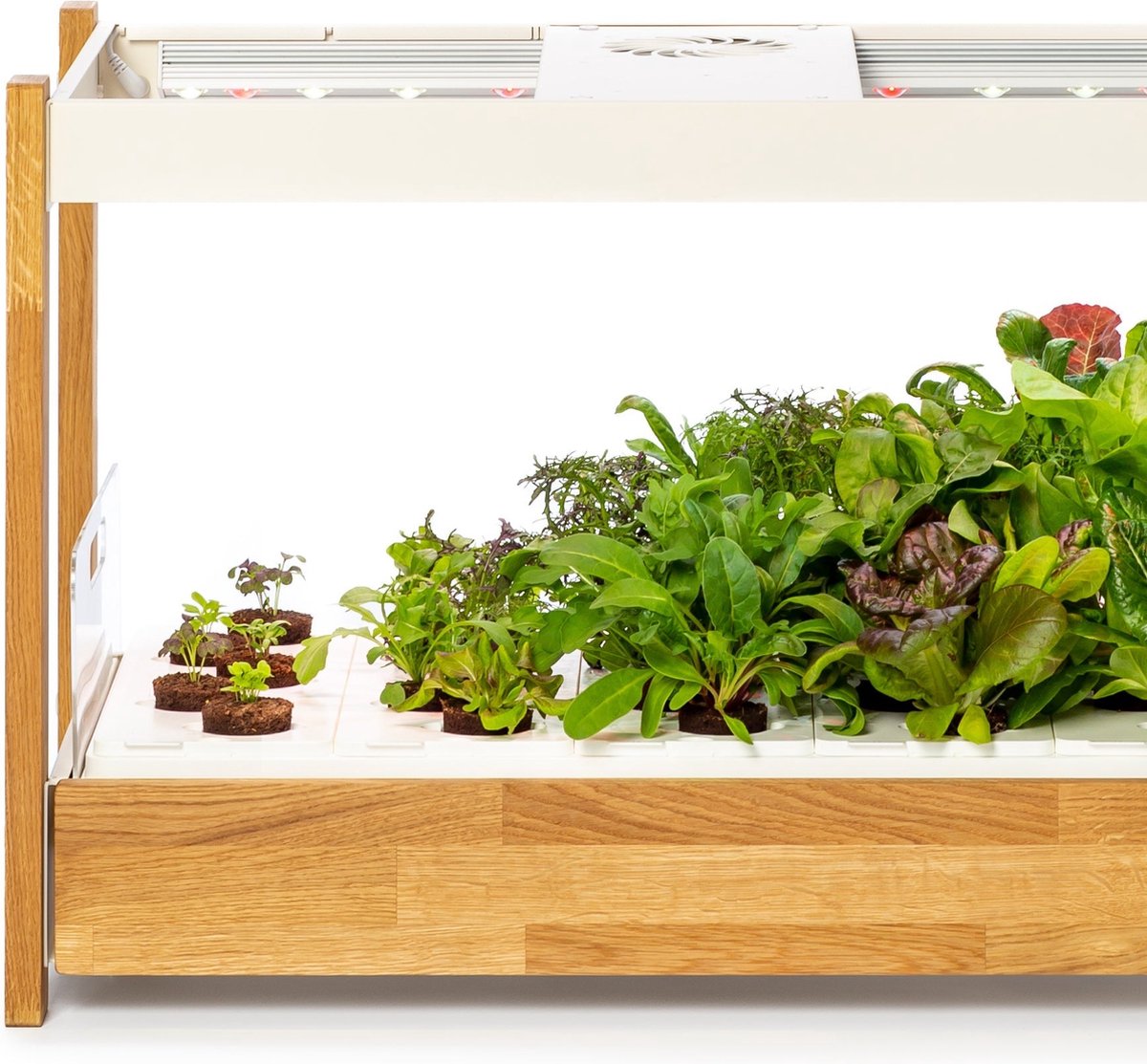 Click & Grow 25 – Jardin Potager d’Intérieur – 25 Emplacements