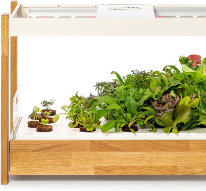 Click & Grow 25 – Jardin Potager d’Intérieur – 25 Emplacements