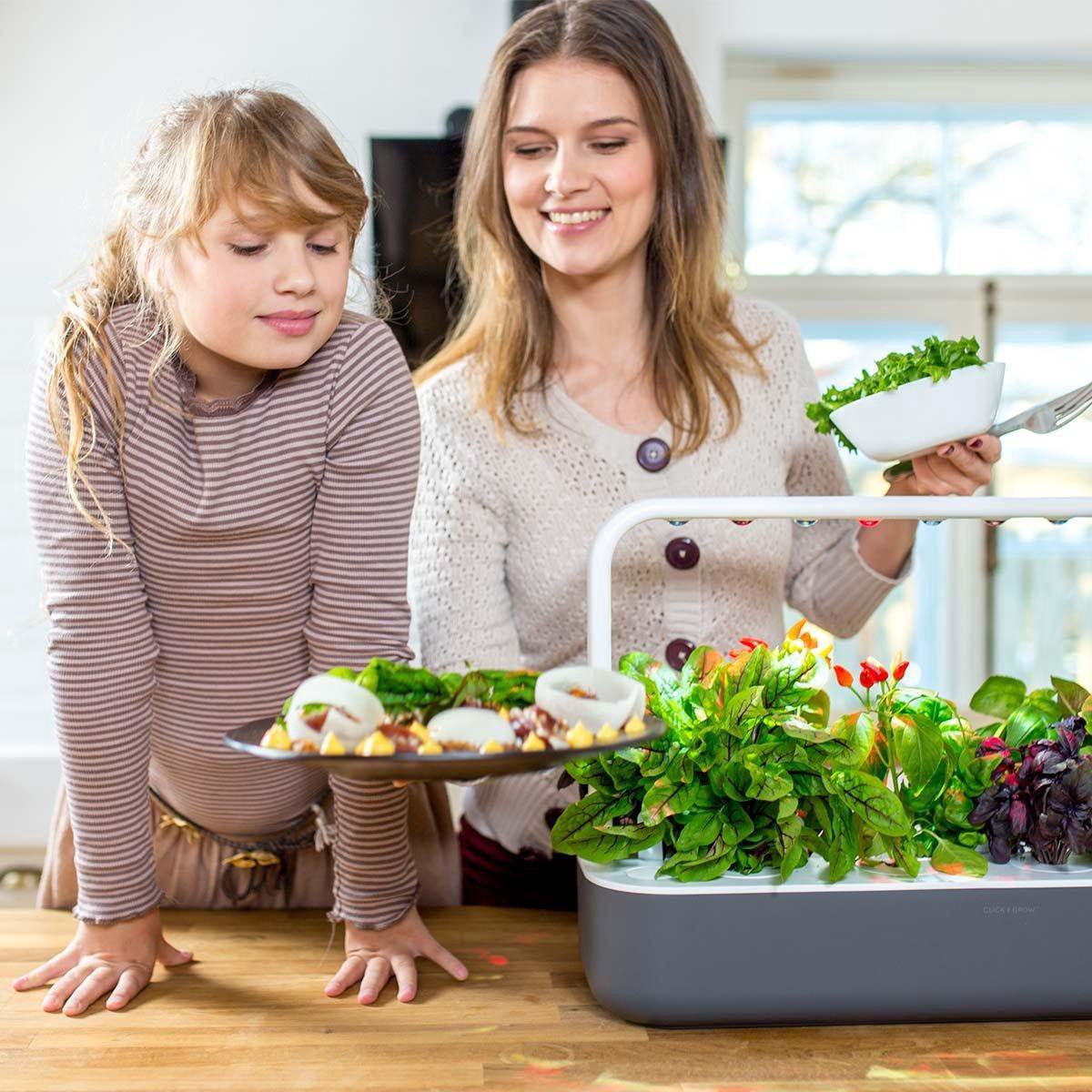 Click & Grow Smart Garden 9, Gris Foncé – Potager d’intérieur intelligent avec éclairage LED automatique