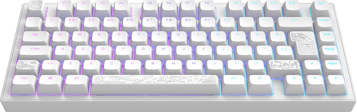 Dark Project ALU Terra Nostra – Clavier gaming mécanique ISO (DE) – Blanc