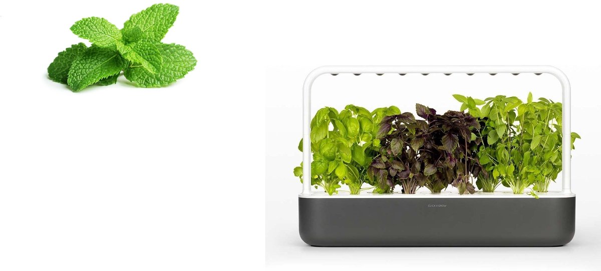 Click & Grow Smart Garden 9 Gris Foncé + Recharge Mix de Basilics (9 Capsules)