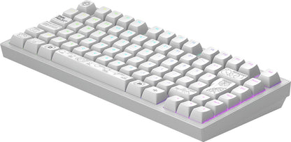Dark Project - ALU Terra Nova - Clavier Gaming Mécanique Sans Fil ISO (DE) - Blanc