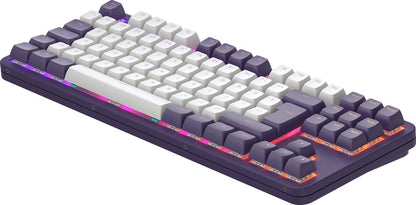 Dark Project ALU87A – Clavier gaming mécanique ISO (DE) – Violet/Blanc