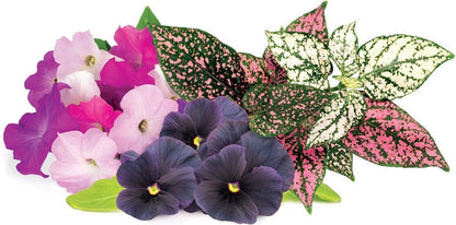 Click & Grow Recharge Mix de Fleurs Éclatantes – 9 Capsules (3x3) pour Jardin Intelligent