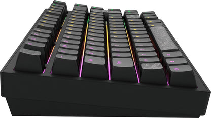 Dark Project ALU Terra Nostra – Clavier gaming mécanique ISO (DE) – Noir