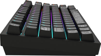 Dark Project - ALU Terra Nova - Clavier Gaming Mécanique Sans Fil ISO (DE) - Noir