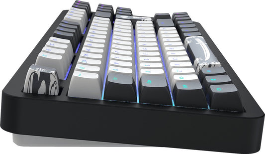 Dark Project ALU Bushido – Clavier mécanique gaming ISO (DE)