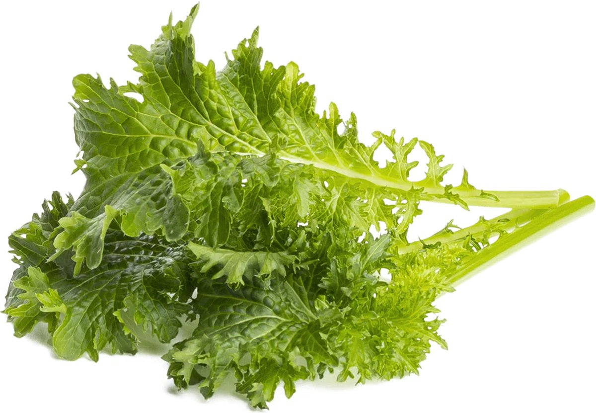 Click & Grow Moutarde wasabi / 3-pack – Capsules de feuilles piquantes pour jardin d’intérieur intelligent