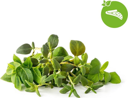 Click & Grow Recharge Mix Herbes Italiennes – 9 Capsules (3x3) pour Jardin Intelligent