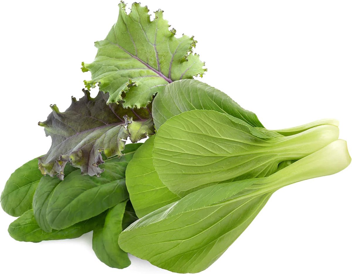 Click & Grow Smart Garden 9 Gris Foncé + Recharge Cuisine Asiatique (9 Capsules)