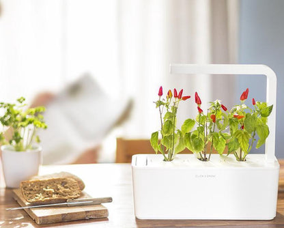 Click & Grow Recharge Piment – 3 Capsules pour Jardin Intelligent