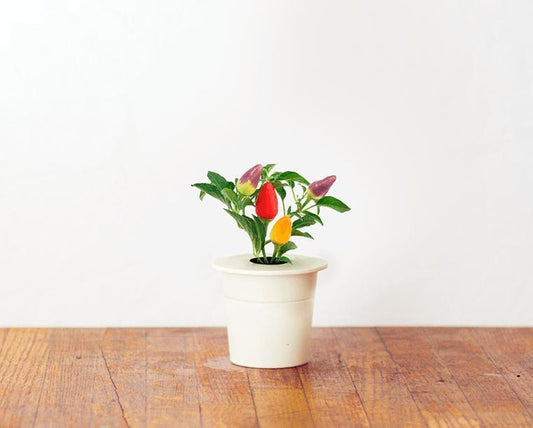 Click & Grow Recharge Piment – 3 Capsules pour Jardin Intelligent