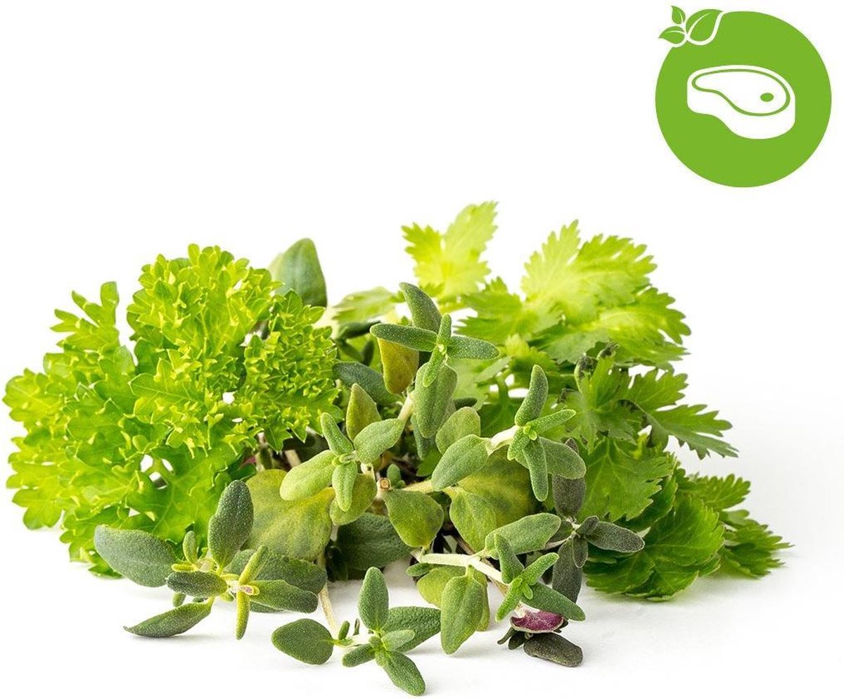 Click & Grow Recharge Mix Herbes pour Viandes – 9 Capsules (3x3) pour Jardin Intelligent