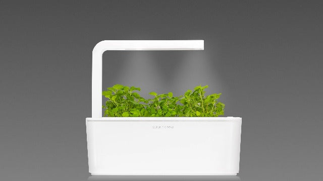 Click & Grow Cataire / 3-pack – Capsules d’herbe à chat pour jardin d’intérieur intelligent