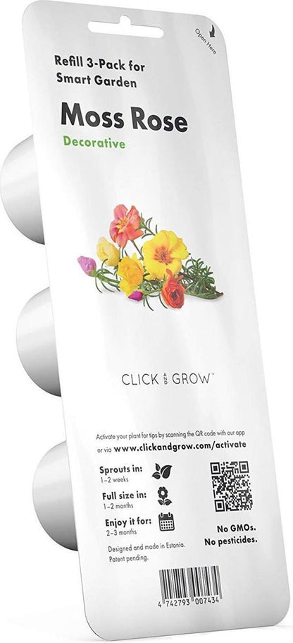 Click & Grow Pourpier fleuri / 3-pack – Capsules de fleurs décoratives pour jardin d’intérieur