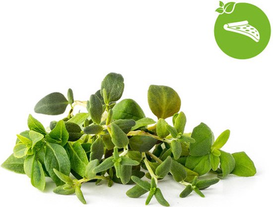 Click & Grow Recharge Mix Tisanes Apaisantes – 9 Capsules (3x3) pour Jardin Intelligent