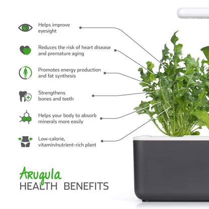 Click & Grow Roquette / 3-pack – Capsules de roquette prêtes à l’emploi pour jardin d’intérieur