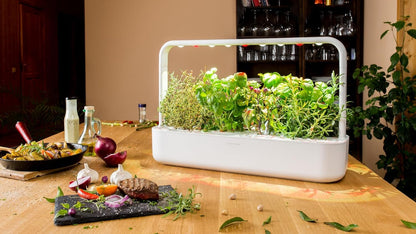 Click & Grow Recharge Mix Herbes pour Viandes – 9 Capsules (3x3) pour Jardin Intelligent