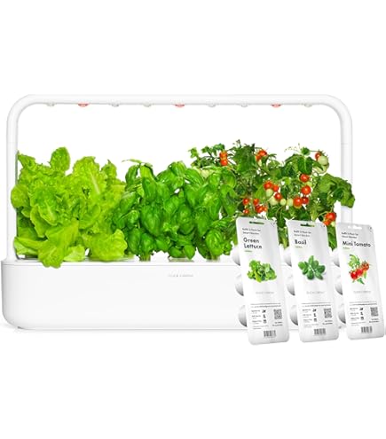 Click & Grow Recharge Mix de Feuilles à Salade – 9 Capsules (3x3) pour Jardin Intelligent