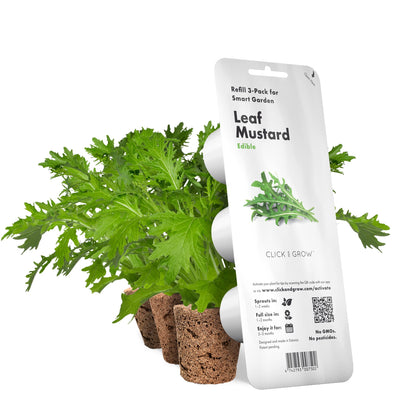 Click & Grow Moutarde feuille / 3-pack – Capsules de moutarde verte pour jardin d’intérieur intelligent