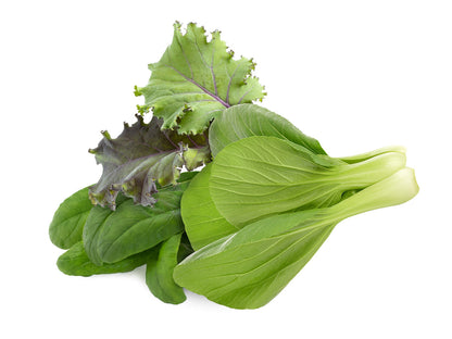 Click & Grow Recharge Mix – Cuisine Asiatique – 9 Capsules (3x3) pour Jardin Intelligent