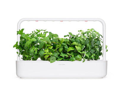 Click & Grow Recharge Mix Tisanes Apaisantes – 9 Capsules (3x3) pour Jardin Intelligent