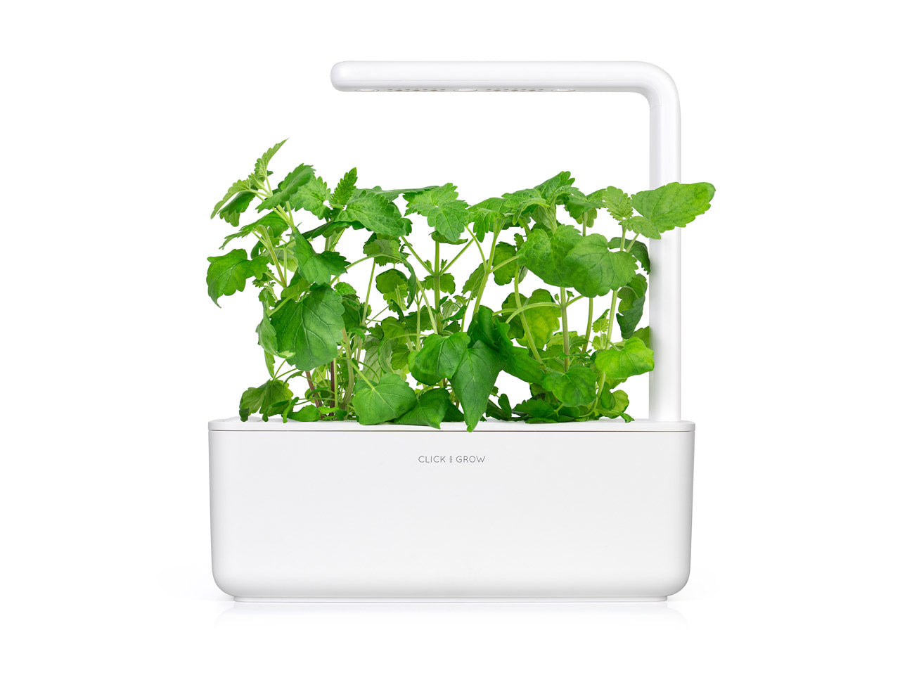 Click & Grow Cataire / 3-pack – Capsules d’herbe à chat pour jardin d’intérieur intelligent