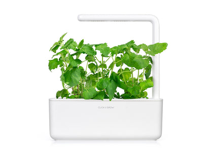 Click & Grow Cataire / 3-pack – Capsules d’herbe à chat pour jardin d’intérieur intelligent