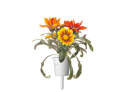 Click & Grow Gazania / 3-pack – Capsules florales éclatantes pour jardin d’intérieur intelligent