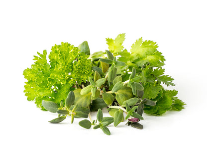 Click & Grow Recharge Mix Herbes pour Viandes – 9 Capsules (3x3) pour Jardin Intelligent