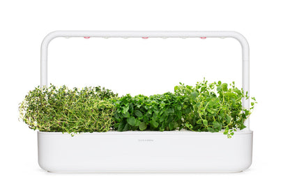 Click & Grow Recharge Mix Herbes Italiennes – 9 Capsules (3x3) pour Jardin Intelligent