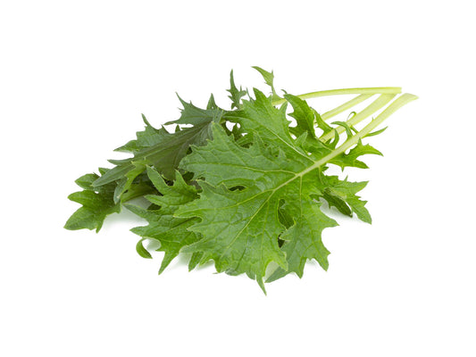 Click & Grow Mizuna / 3-pack – Capsules de salade japonaise pour jardin d’intérieur intelligent