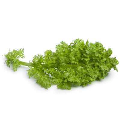 Click & Grow Moutarde wasabi / 3-pack – Capsules de feuilles piquantes pour jardin d’intérieur intelligent