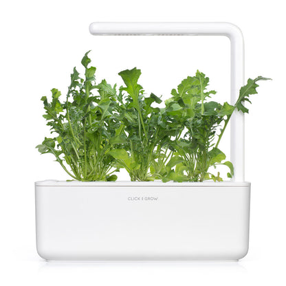 Click & Grow Roquette / 3-pack – Capsules de roquette prêtes à l’emploi pour jardin d’intérieur