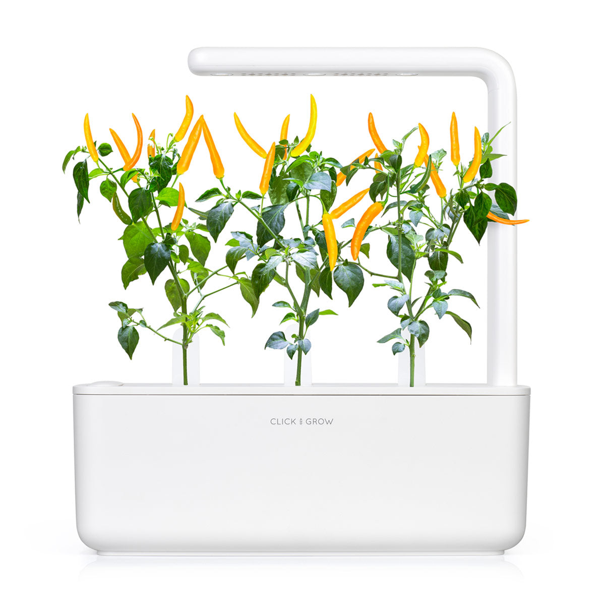 Click & Grow Piment jaune / 3-pack – Capsules de piment fort décoratif pour jardin d’intérieur intelligent