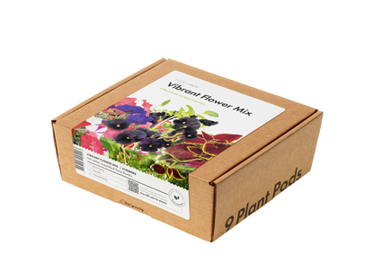 Click & Grow Recharge Mix de Fleurs Éclatantes – 9 Capsules (3x3) pour Jardin Intelligent