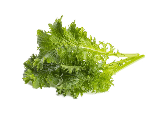 Click & Grow Moutarde wasabi / 3-pack – Capsules de feuilles piquantes pour jardin d’intérieur intelligent