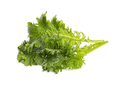 Click & Grow Moutarde wasabi / 3-pack – Capsules de feuilles piquantes pour jardin d’intérieur intelligent