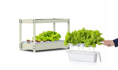 Click & Grow 25 – Jardin Potager d’Intérieur – 25 Emplacements