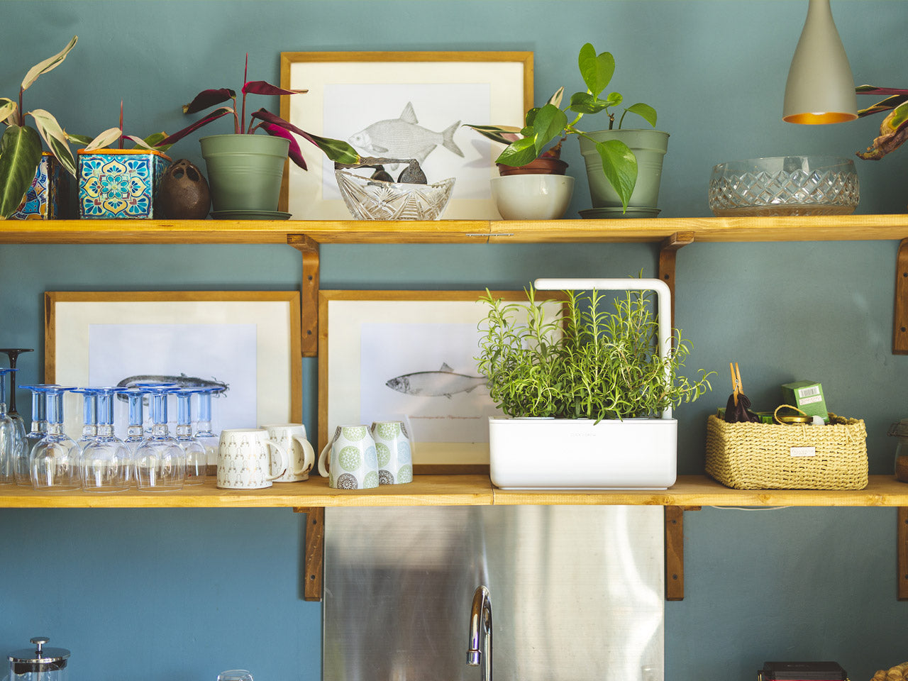 Click & Grow Smart Garden 3, Blanc – Jardin d’intérieur intelligent compact avec lumière LED