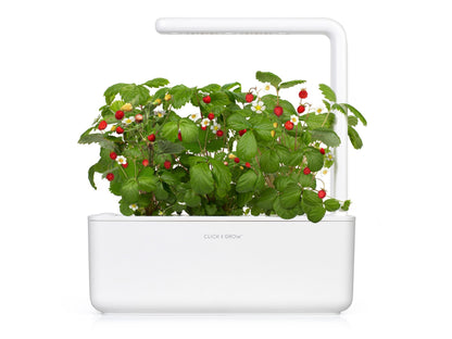 Click & Grow Smart Garden 3, Blanc – Jardin d’intérieur intelligent compact avec lumière LED