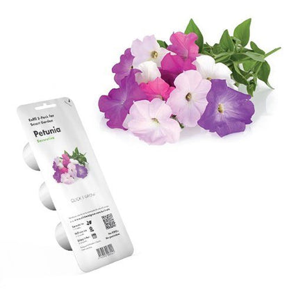 Click & Grow Pétunia / 3-pack – Capsules de pétunias décoratifs pour jardin d’intérieur intelligent