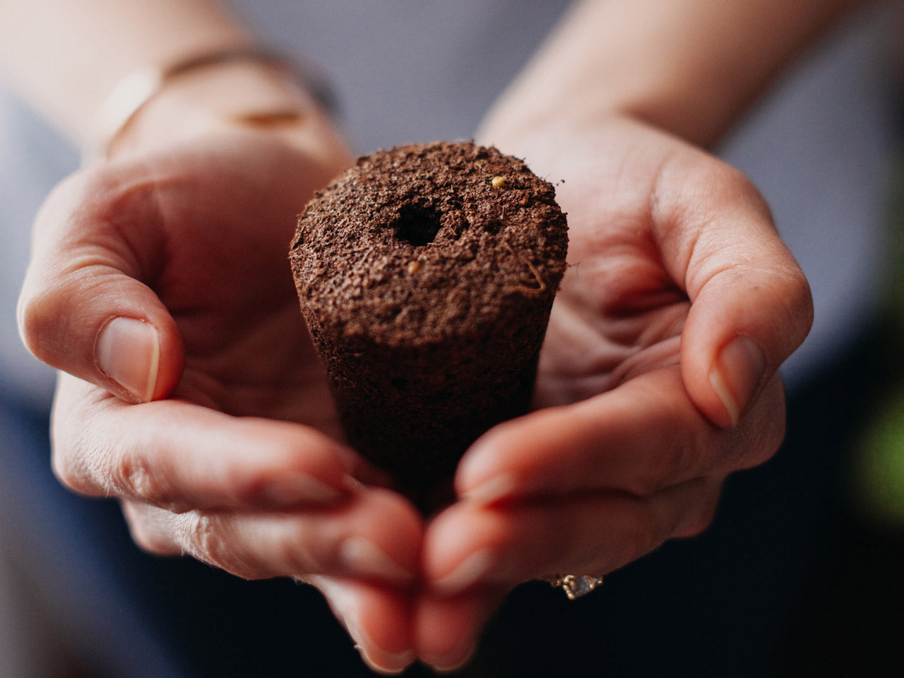 Click & Grow Smart Garden 3, Gris foncé – Jardin d’intérieur intelligent compact avec LED